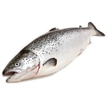 Сёмга с/м ПСГ 7-8 ~100г